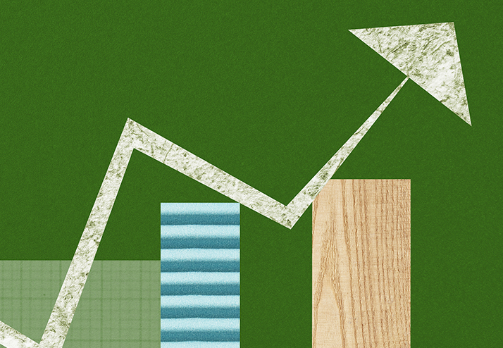 The Debate Between S Elections and C Elections: The Overlooked Case of Profit Projections