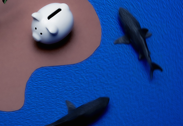 Foreign Corporations, Form 5471, and the Perils of Offshore Noncompliance